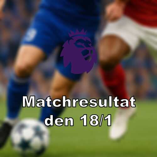 Everton slog aston villa mallost mellan wolves och newcastle