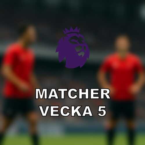 Premier league vecka 5 tio matcher nar everton dubblar och spurs tar emot city