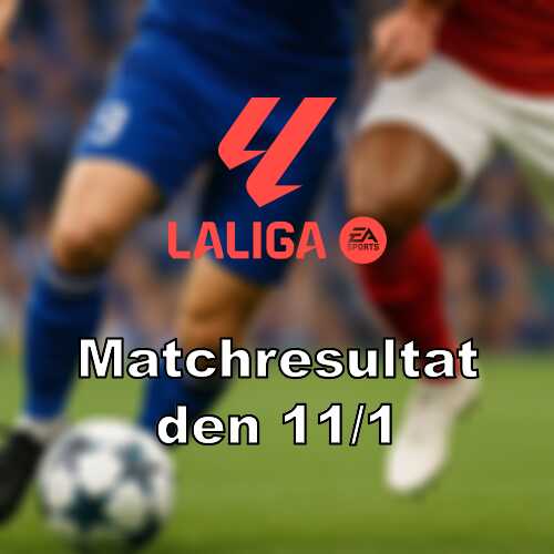 Rayo vallecano slog mallorca efter tidigt ryck