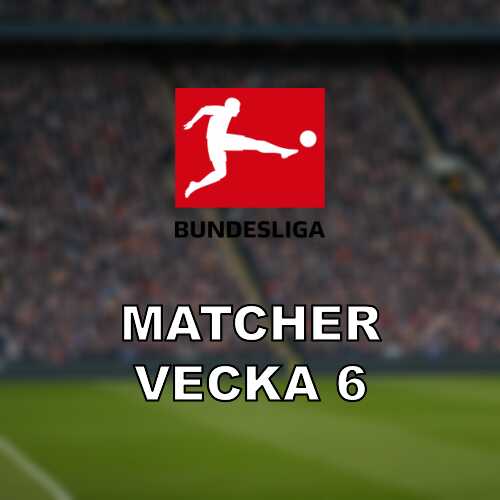 Bundesliga vecka 6 omgang 21 med bayern hoffenheim och wolfsburg dortmund