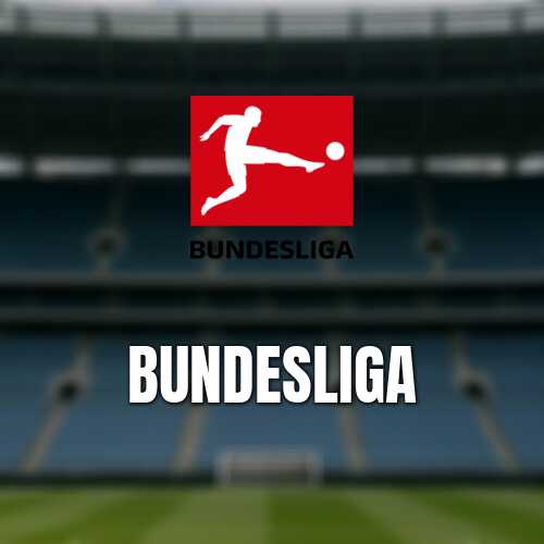 Borussia monchengladbach sparkar huvudtranaren eugen polanski